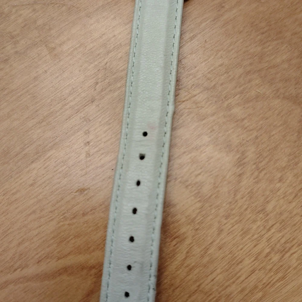 Anne Klein Gold Case with pale mint green Strap
